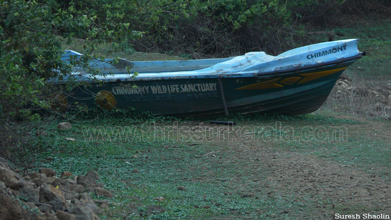 chimmini-dam-thrissur (13)